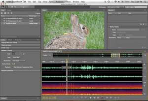 Adobe Soundbooth CS4 makes audio editing so easy even I can do it.